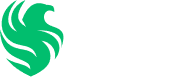 Team Falcons